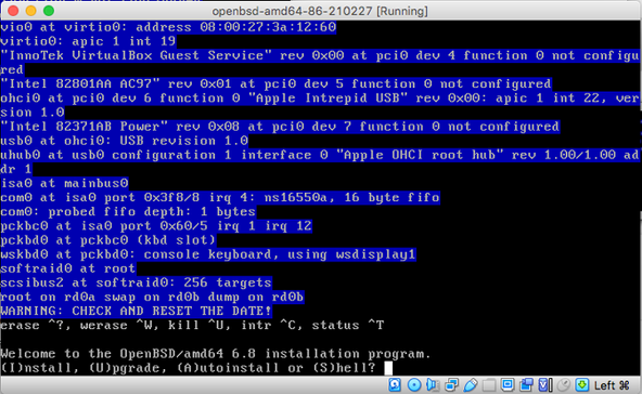 OpenBSD Install Screenshot